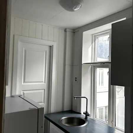 Pen Toppleilighet Midt I Sentrum Берген